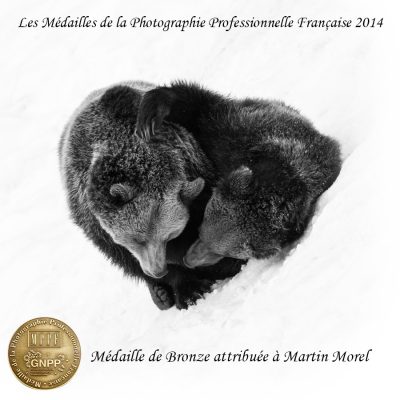 medaille-bronze-mppf-2014
